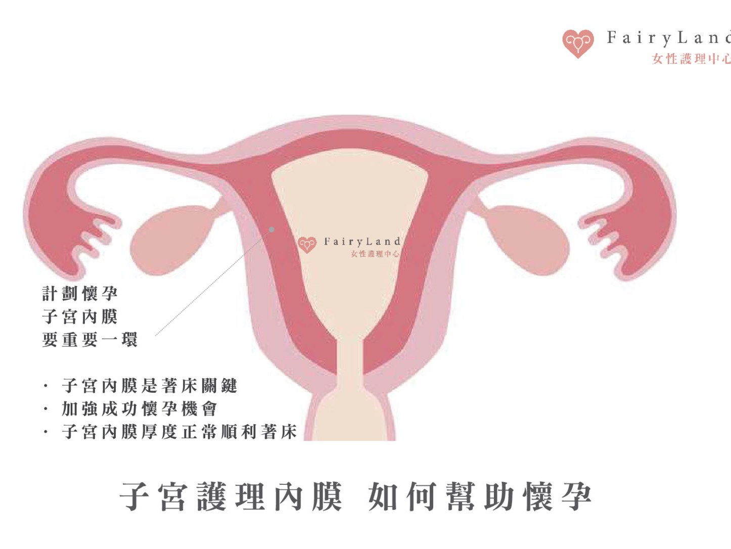 計劃懷孕或計劃人工/試管前怎麼辦？