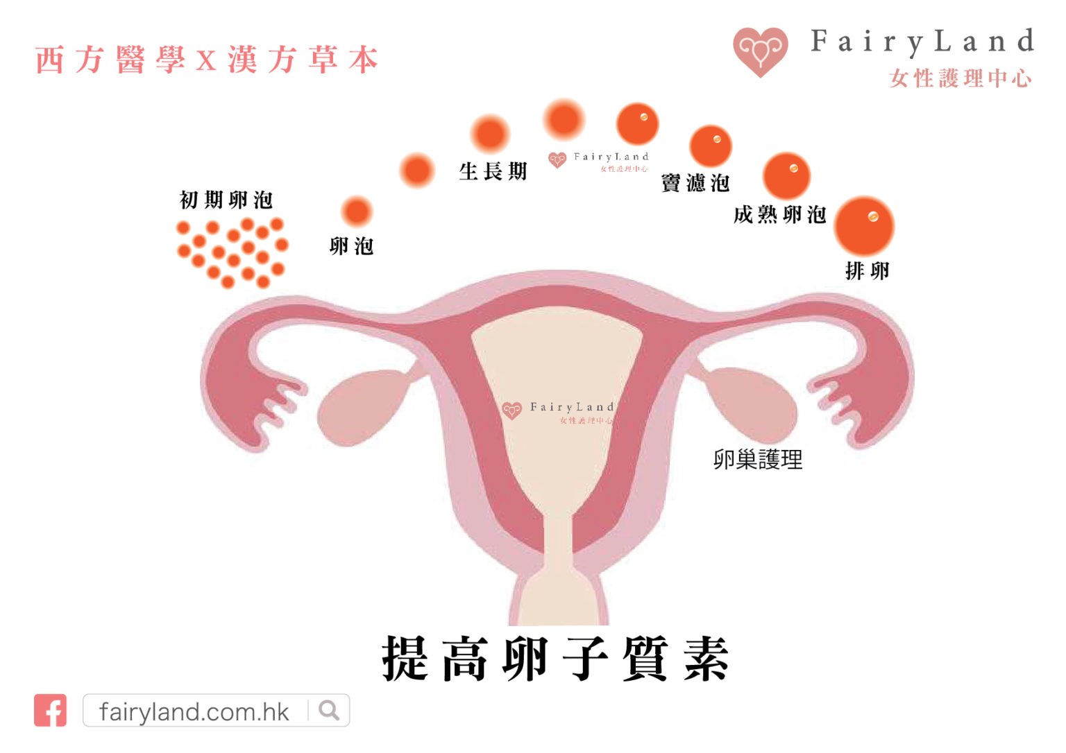 到底應該那時做卵巢護理呢？
