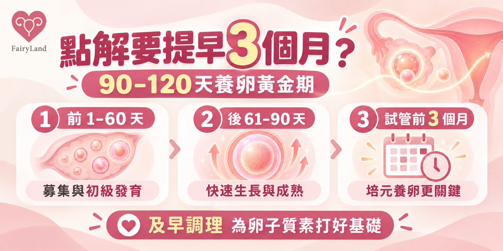 IVF 前為何提早三個月培元養卵