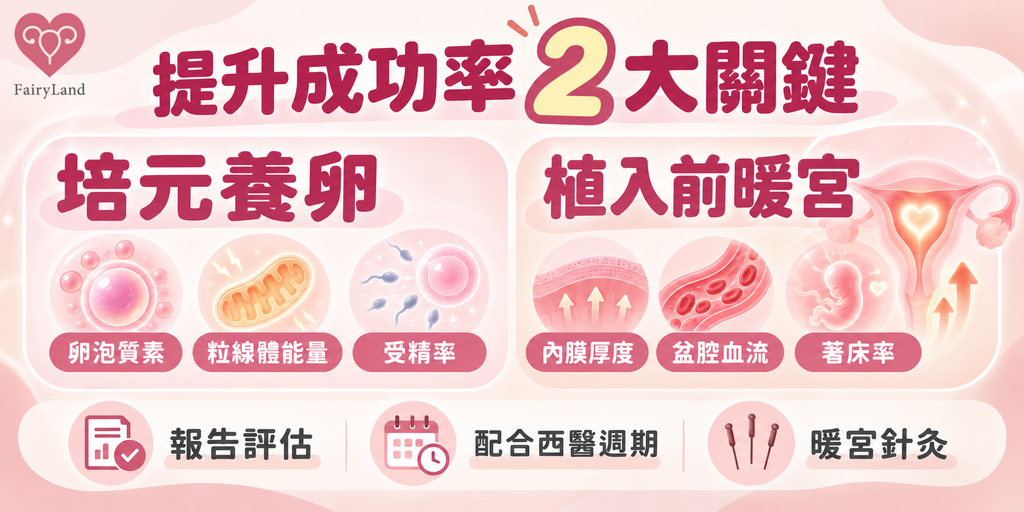 提升 IVF 成功率的兩大關鍵：培元養卵與植入前暖宮